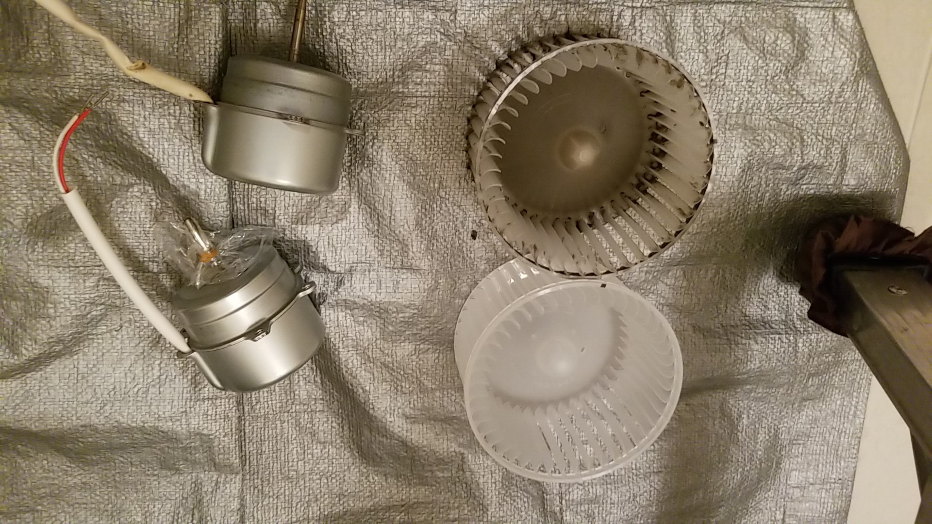 あま市トイレ天井換気扇回転異音修理